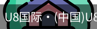 U8国际